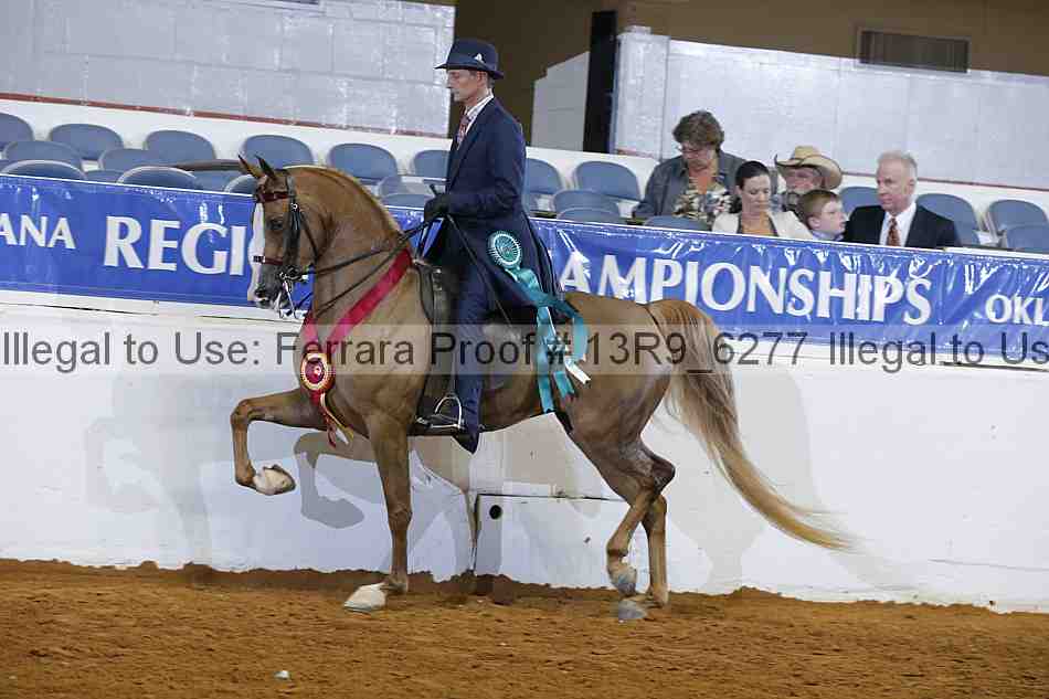 Proof Number 13r9_6277