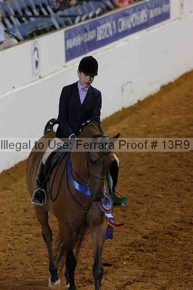 Proof Number 13r9_6310