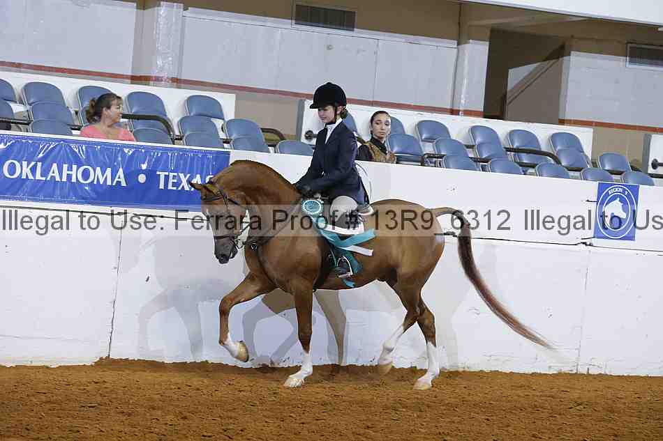 Proof Number 13r9_6312