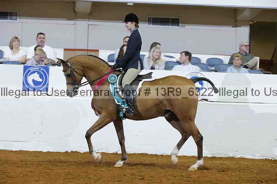 Proof Number 13r9_6322