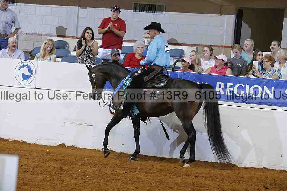 Proof Number 13r9_6105
