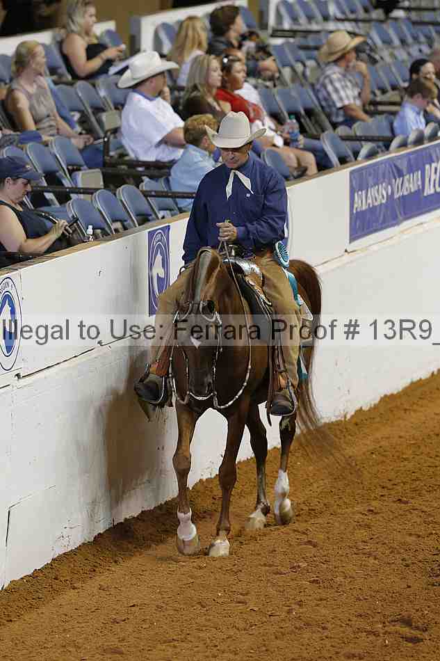 Proof Number 13r9_6111