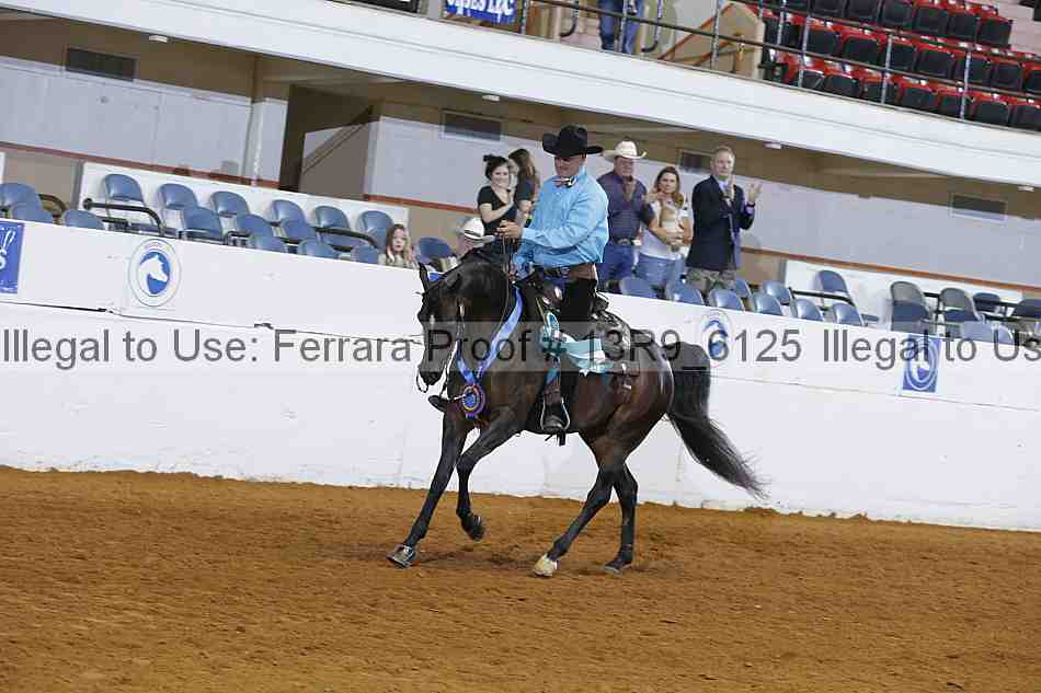 Proof Number 13r9_6125