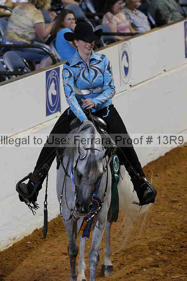 Proof Number 13r9_6473