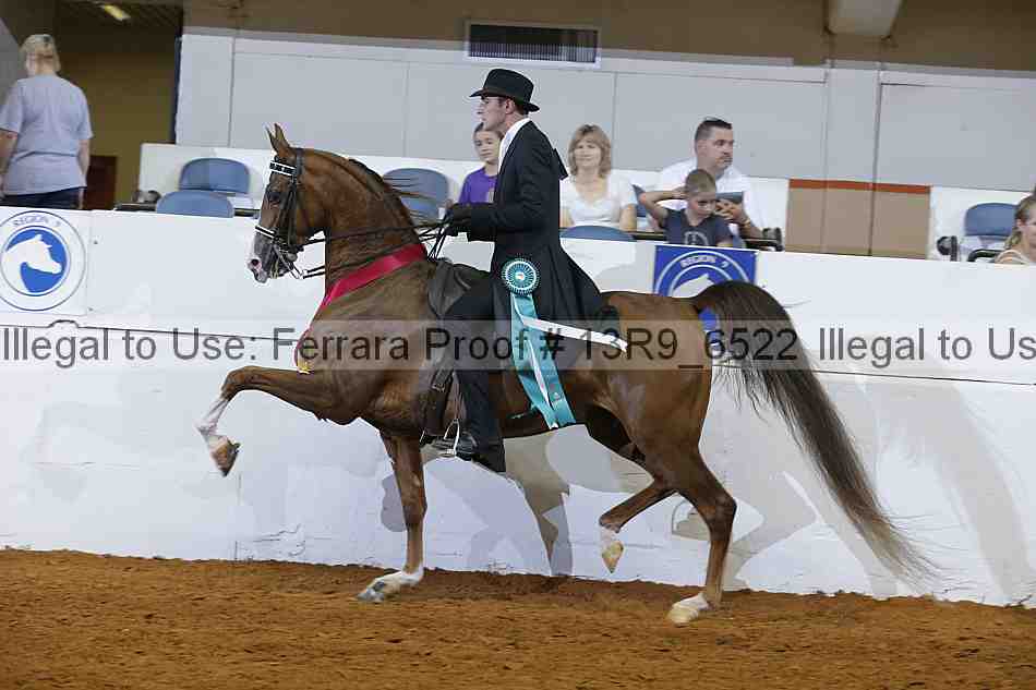 Proof Number 13r9_6522
