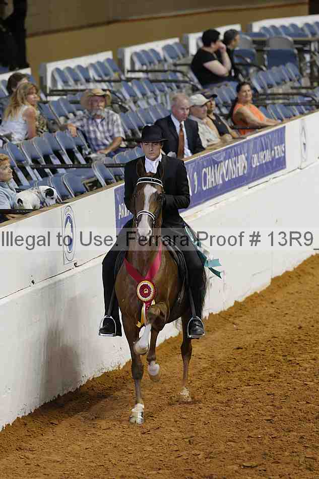 Proof Number 13r9_6524
