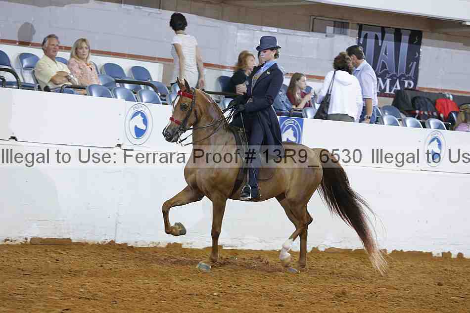 Proof Number 13r9_6530