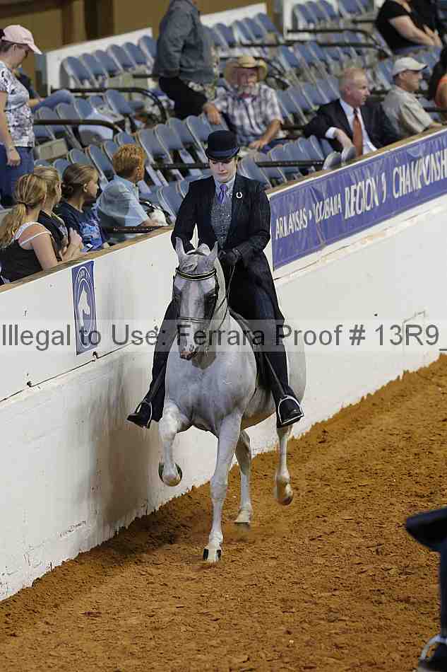 Proof Number 13r9_6548