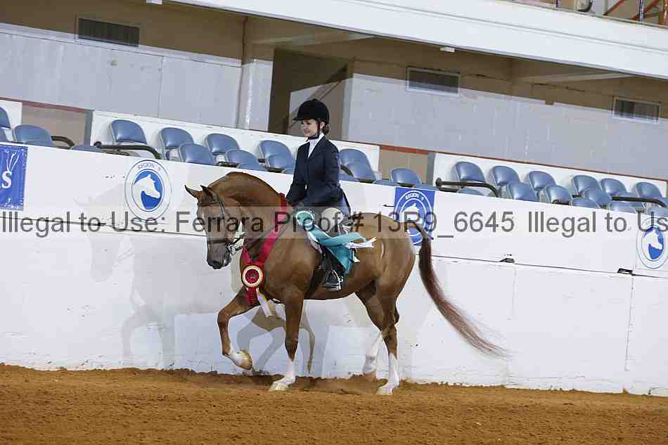 Proof Number 13r9_6645