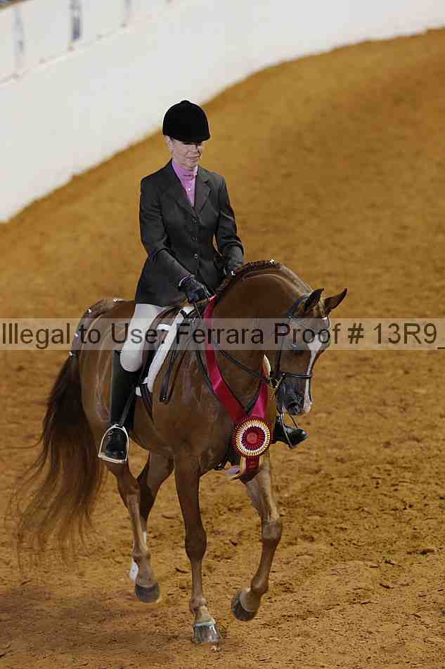 Proof Number 13r9_6706