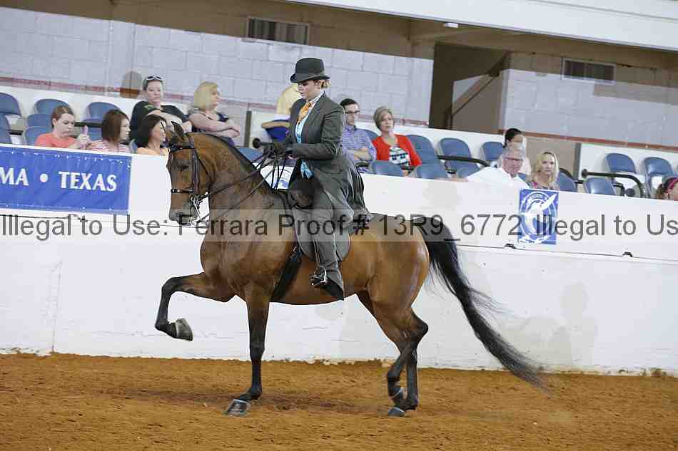 Proof Number 13r9_6772