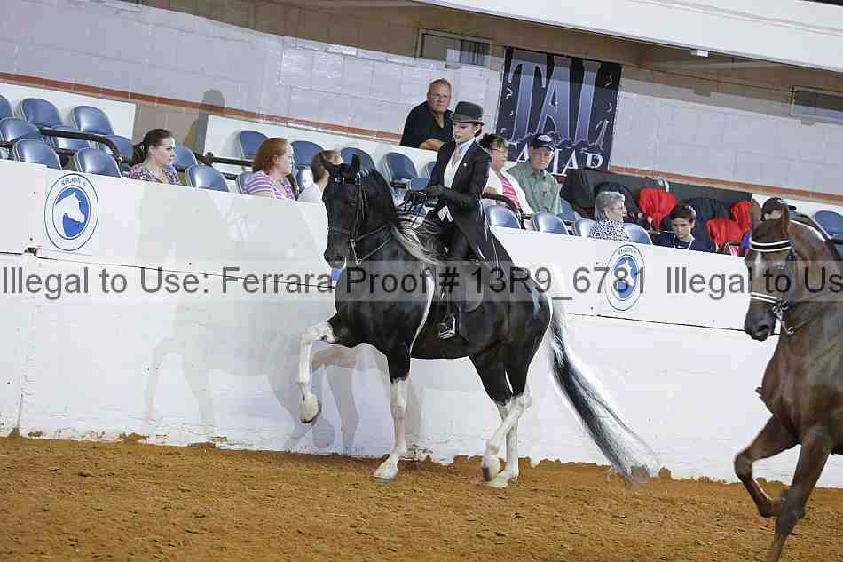 Proof Number 13r9_6781
