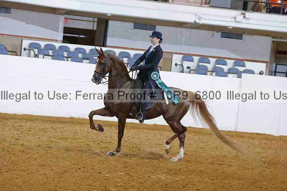 Proof Number 13r9_6800