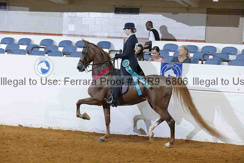 Proof Number 13r9_6806