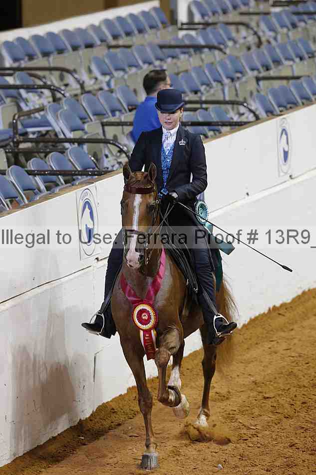 Proof Number 13r9_6807