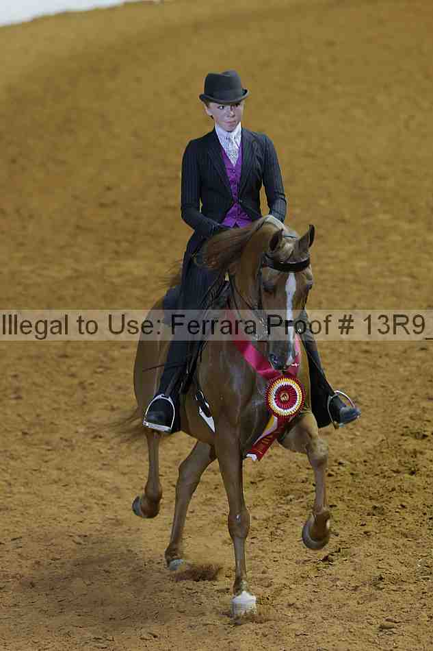 Proof Number 13r9_6880