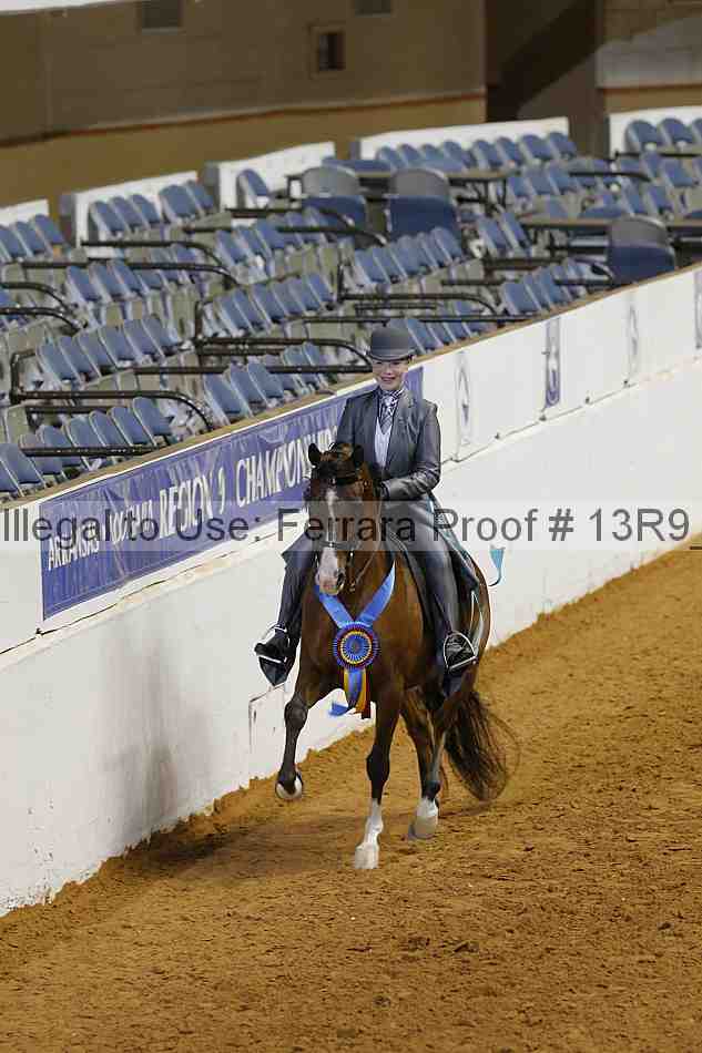 Proof Number 13r9_6883