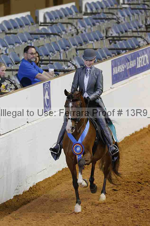 Proof Number 13r9_6884