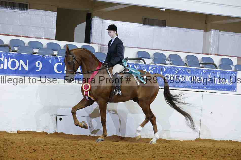 Proof Number 13r9_6952
