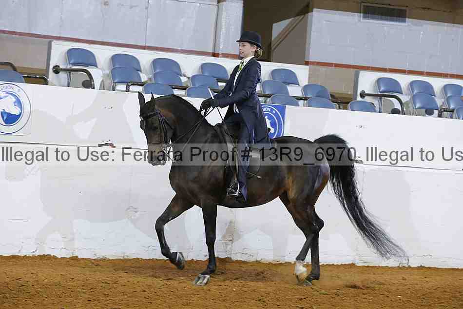 Proof Number 13r9_6970