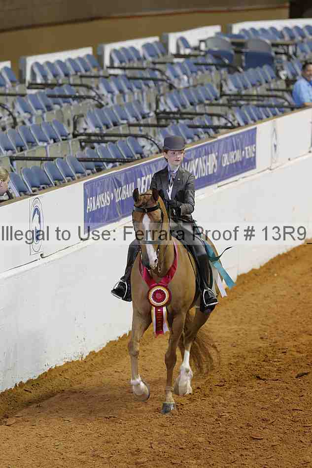 Proof Number 13r9_7005