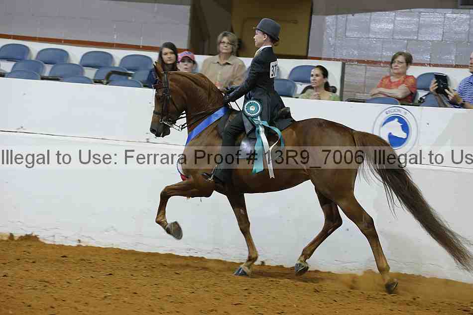 Proof Number 13r9_7006