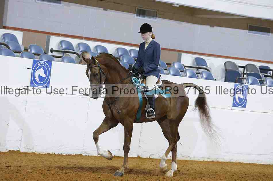Proof Number 13r9_7185