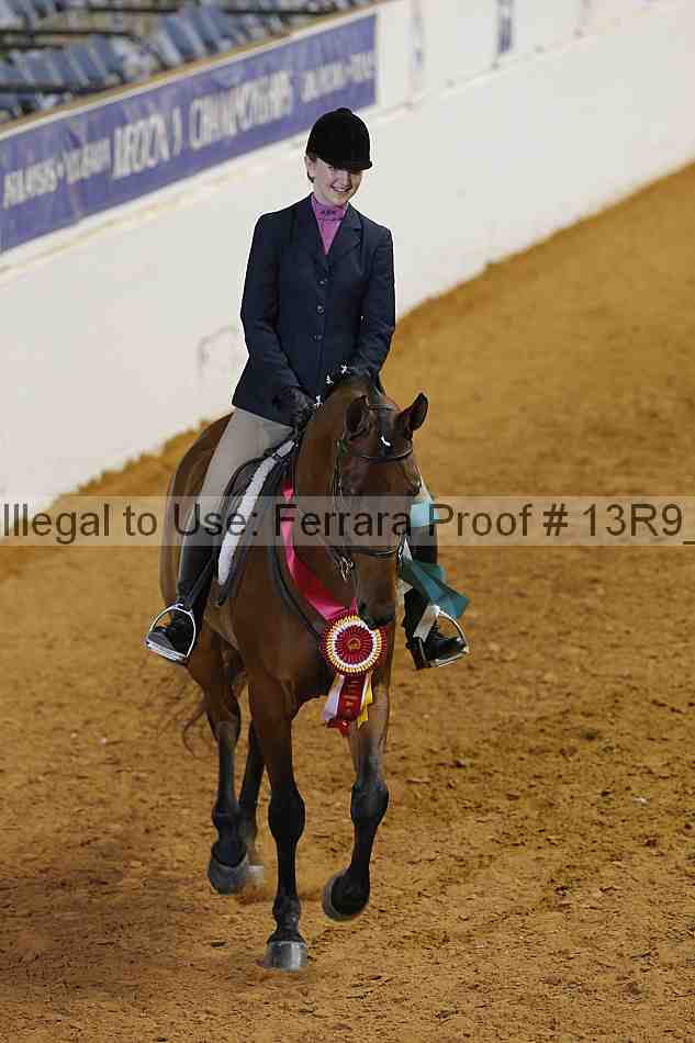 Proof Number 13r9_7194