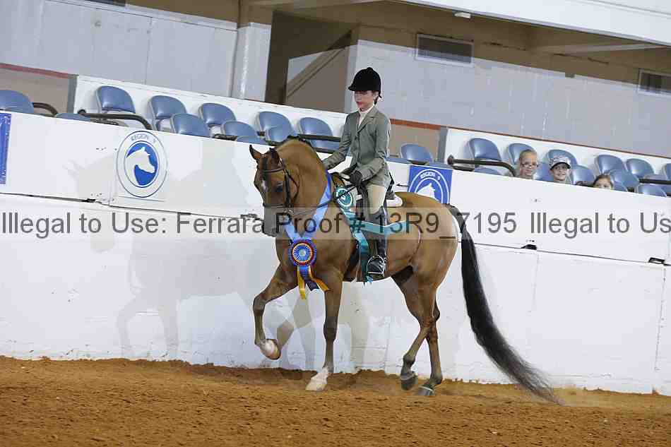 Proof Number 13r9_7195