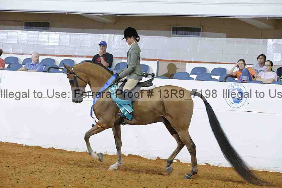 Proof Number 13r9_7198