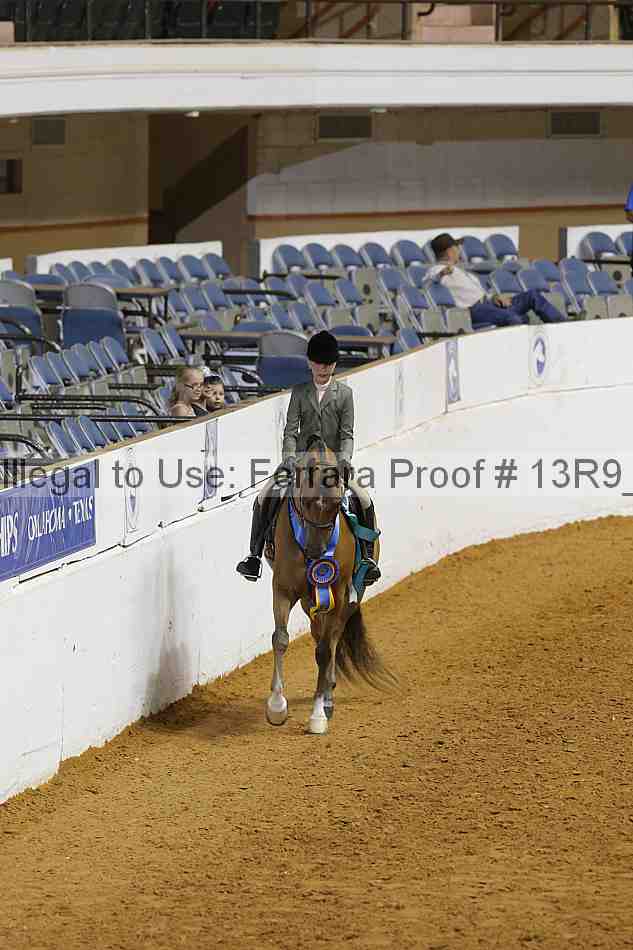 Proof Number 13r9_7199