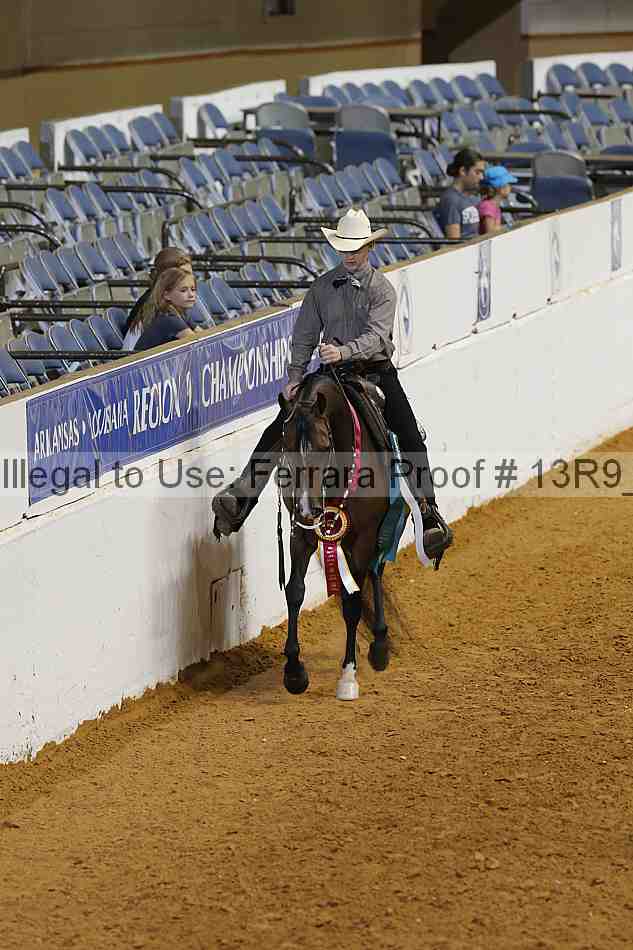Proof Number 13r9_7263