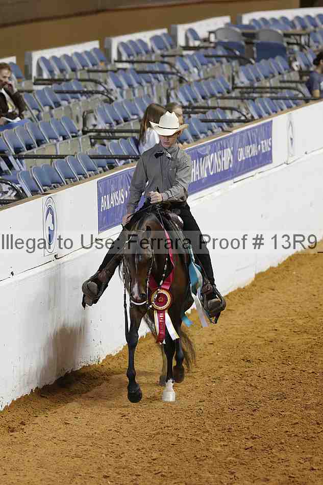 Proof Number 13r9_7264