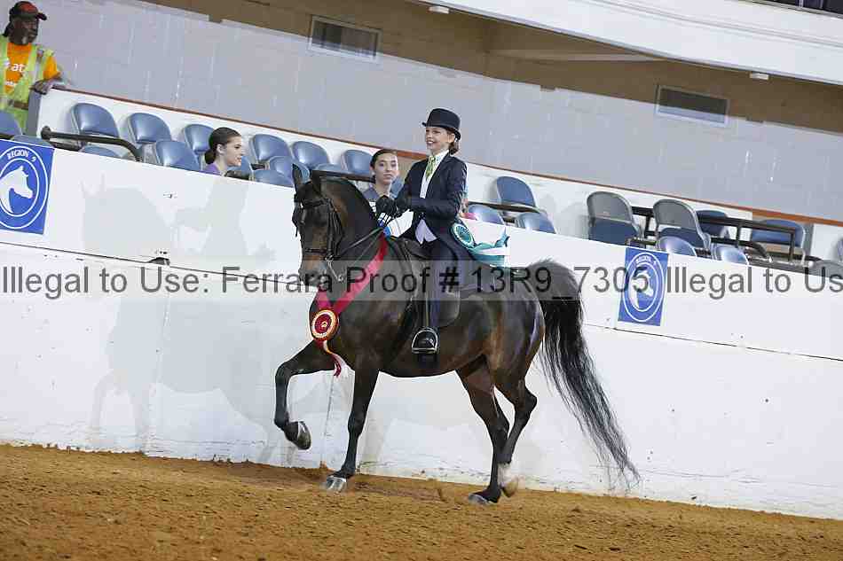 Proof Number 13r9_7305