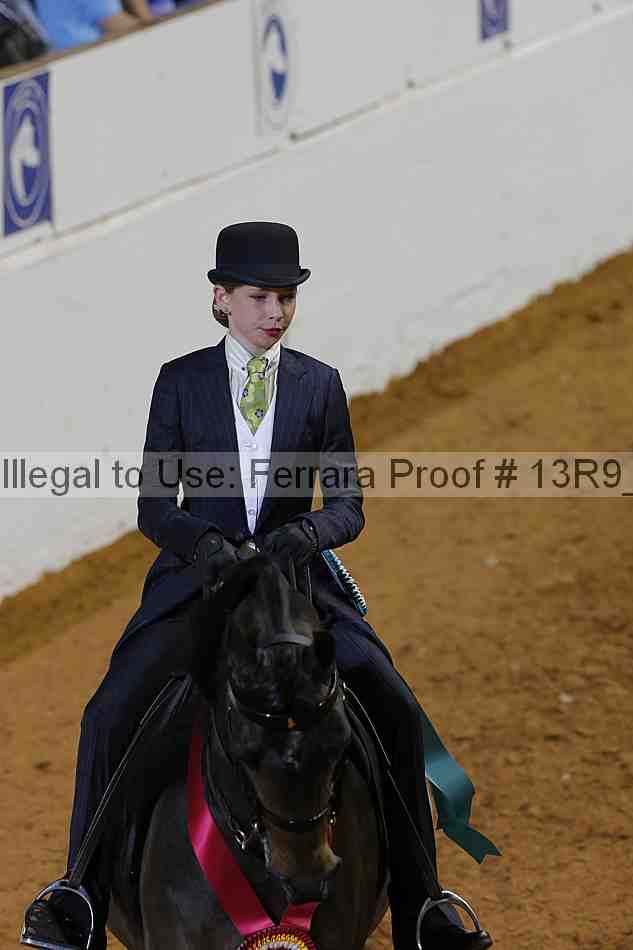 Proof Number 13r9_7309