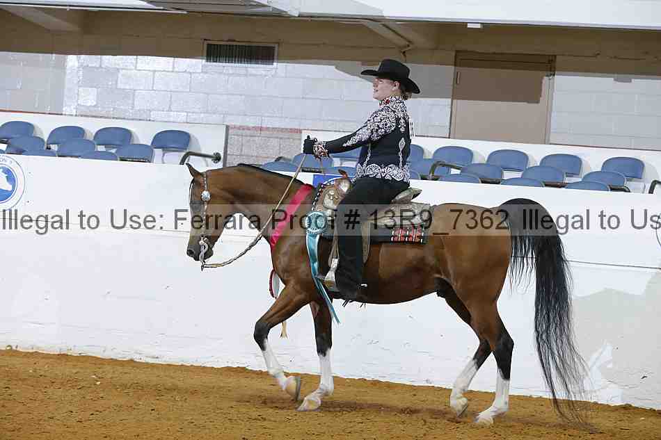 Proof Number 13r9_7362