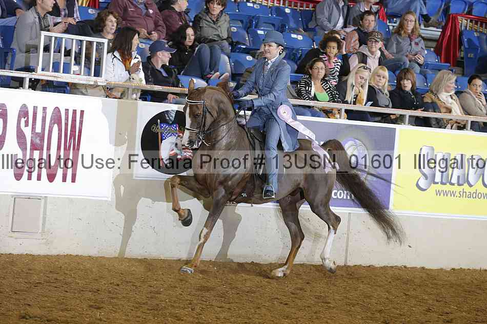 Proof Number 13usn_01601