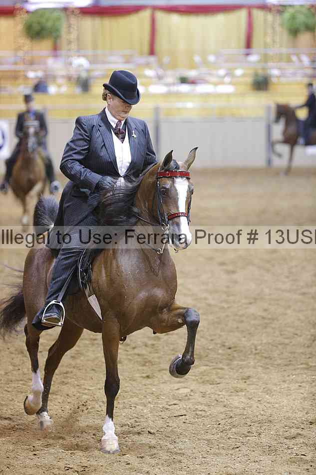 Proof Number 13usn_01641