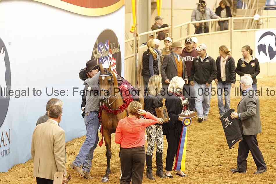 Proof Number 13usn_08505