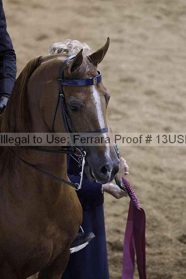 Proof Number 13usn_30223