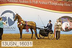 13usn_16031 thumbnail
