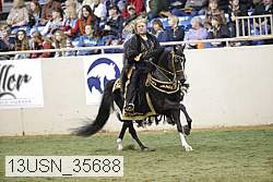 13usn_35688 thumbnail