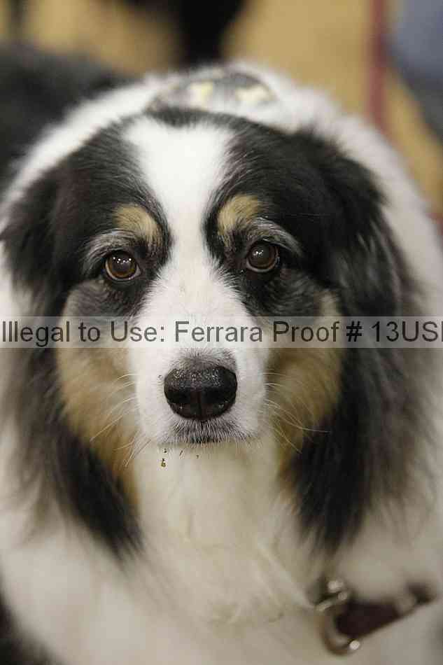 Proof Number 13usn_02224