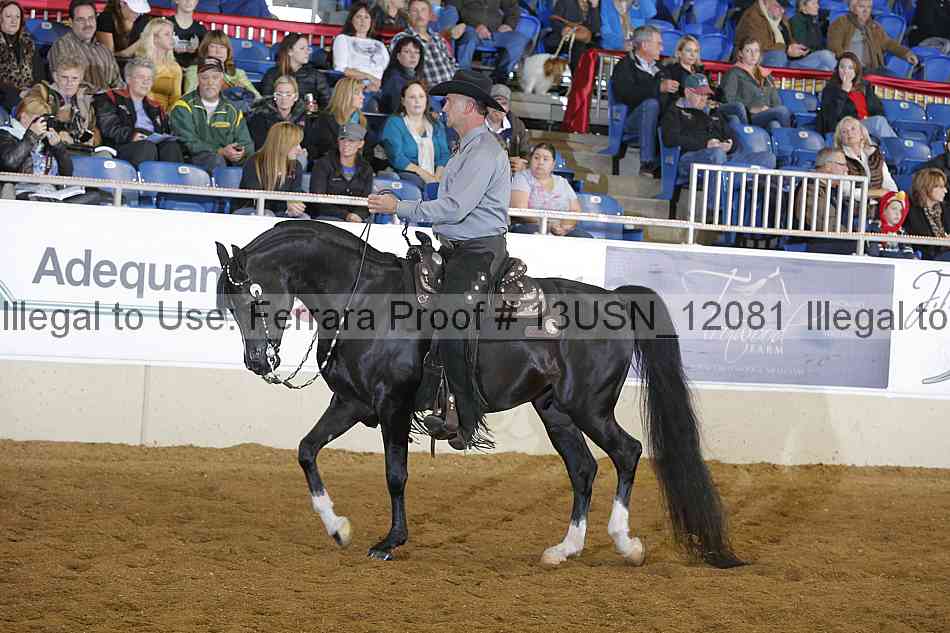 Proof Number 13usn_12081