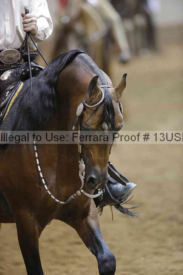 Proof Number 13usn_12105