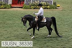 13usn_36336 thumbnail