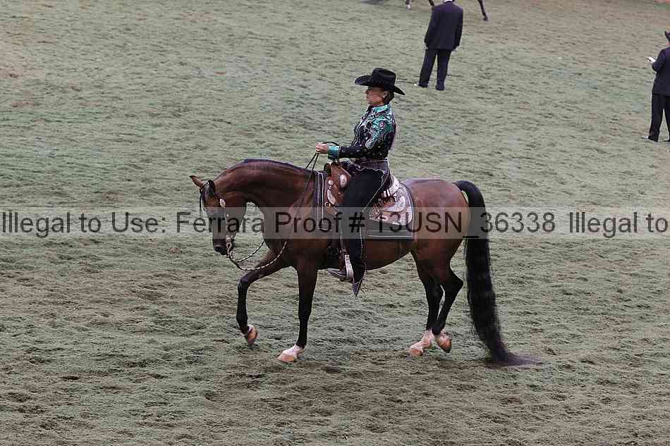 Proof Number 13usn_36338