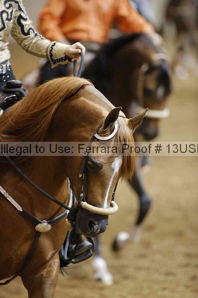 Proof Number 13usn_19763