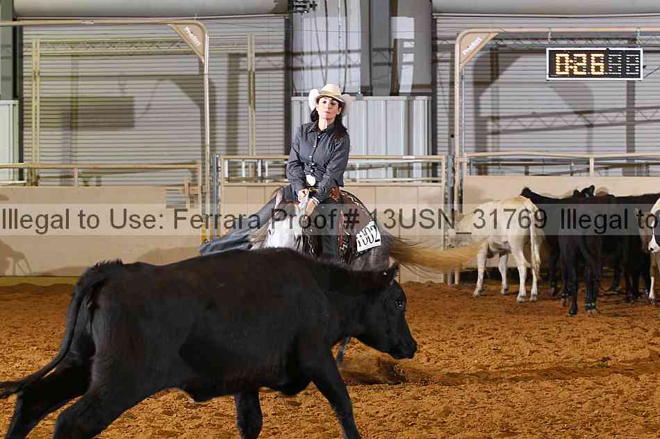 Proof Number 13usn_31769