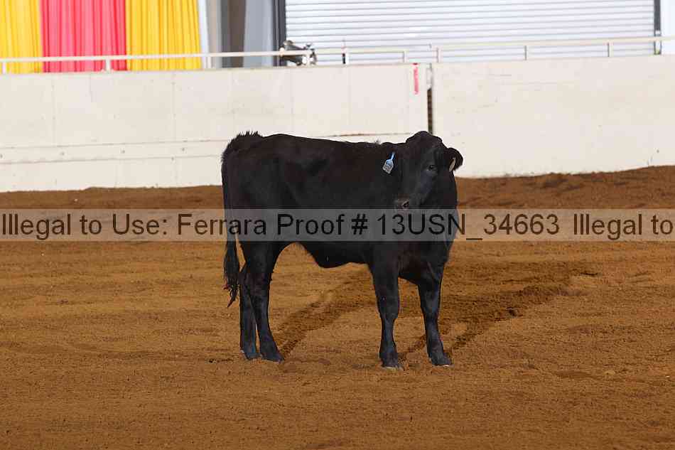 Proof Number 13usn_34663